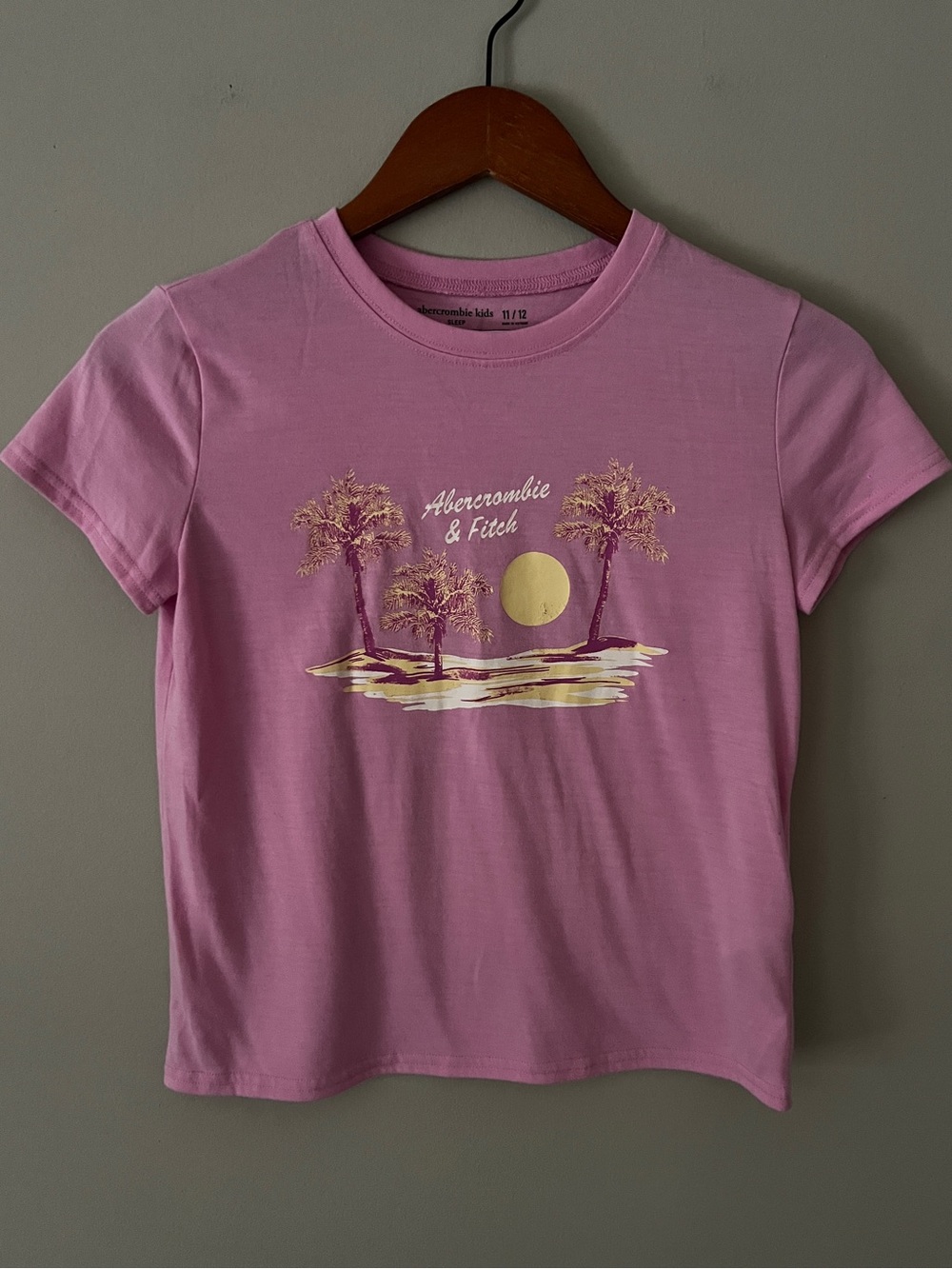 abercrombie kids Pink Tee with Gold Palm Graphic